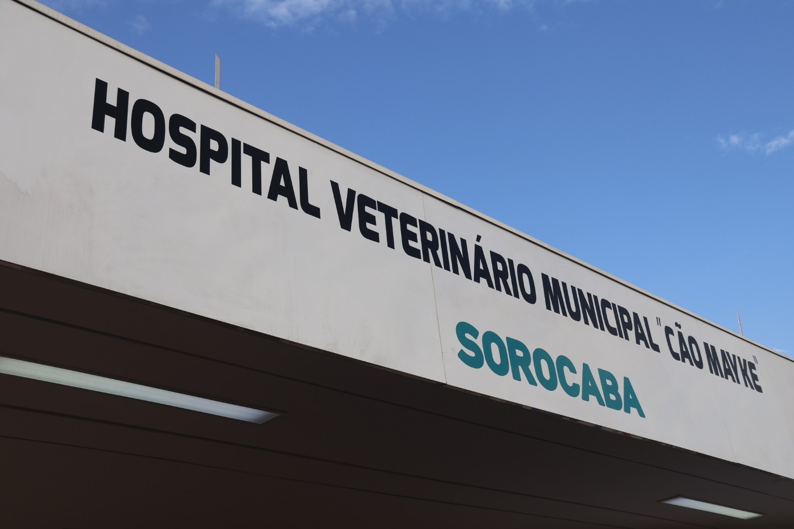 Hospital veterinário gratuito para cães e gatos é inaugurado em Sorocaba