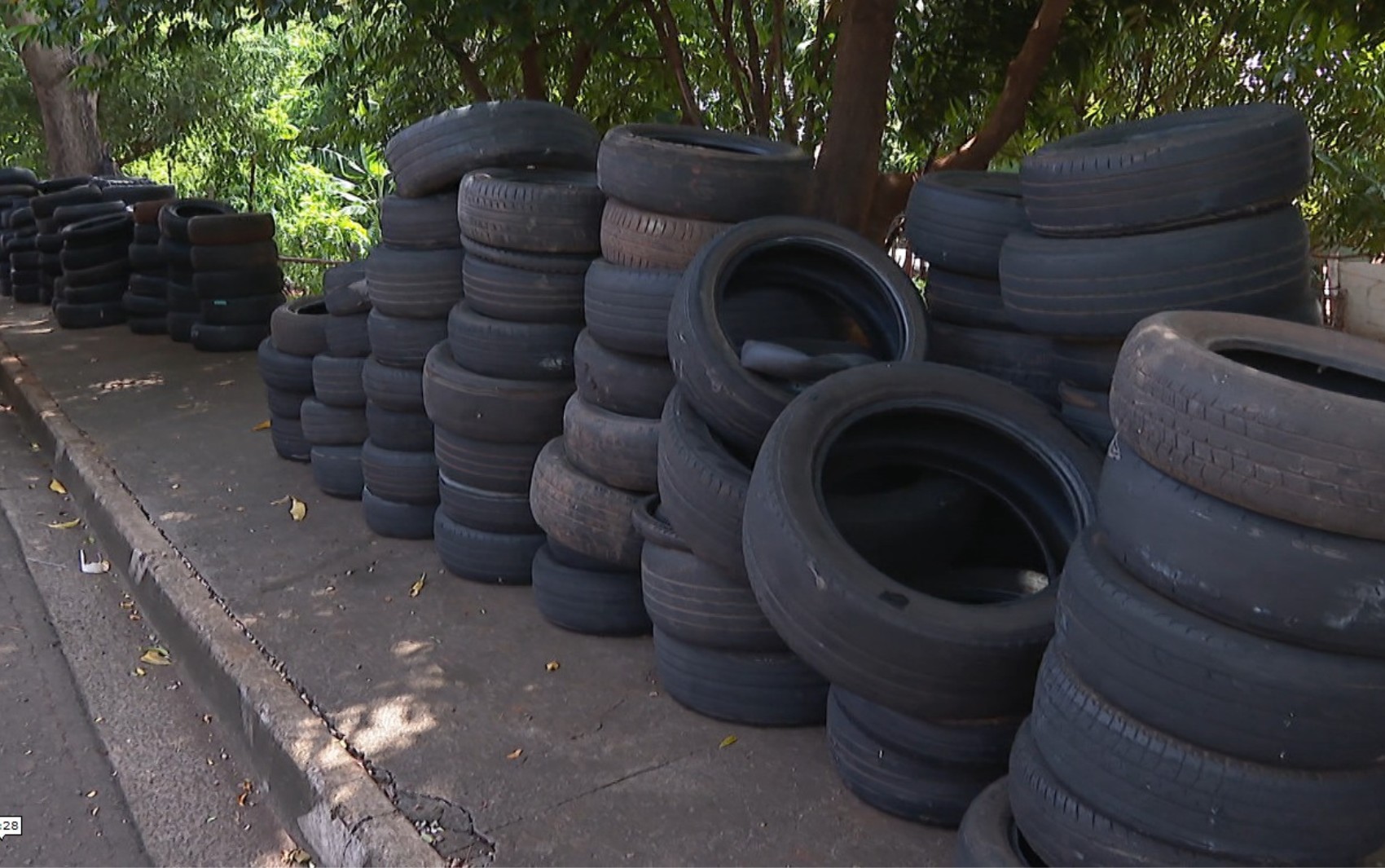 Cidades da região de Ribeirão Preto recolhem toneladas de materiais em 'Dia D' contra criadouros da dengue