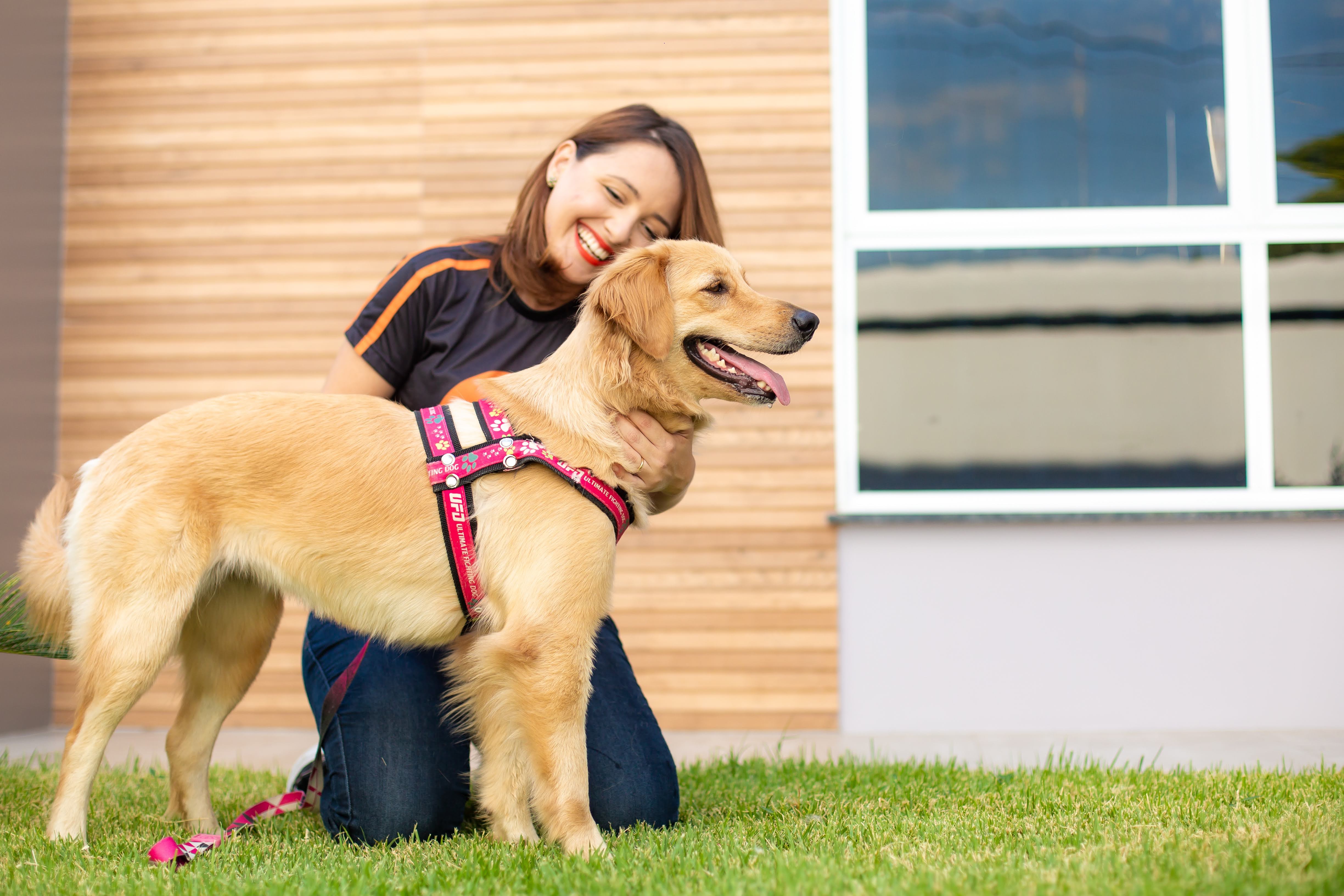 Mercado pet aposta em serviço de concierge para cuidar da saúde dos animais