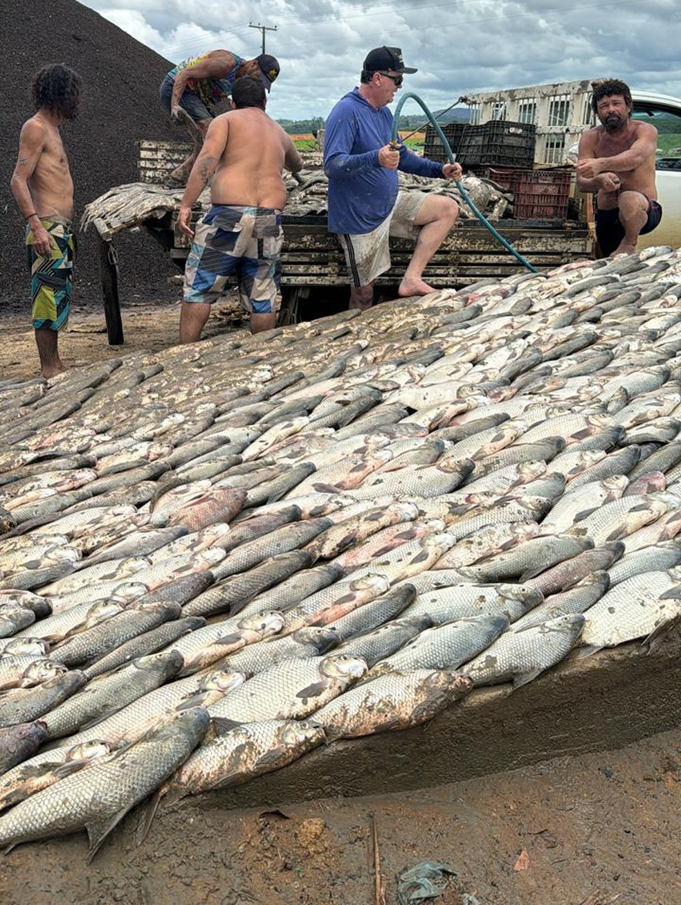 3 toneladas de peixes retiradas de represa que foi esvaziada para ampliação em Nova Venécia, Espírito Santo — Foto: Divulgação