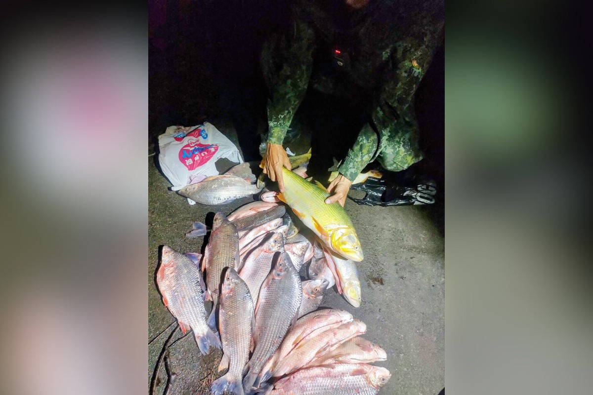 Dupla recebe mais de R$ 3 mil em multas após ser flagrada com 29 kg de peixes durante Piracema