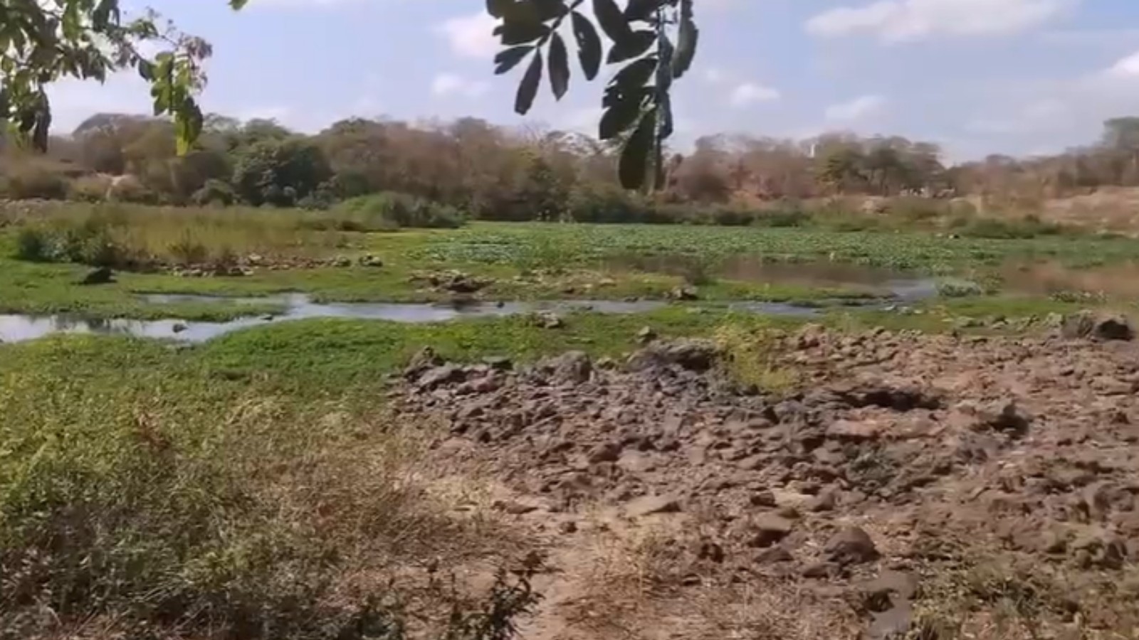 Pai é encontrado morto após afogamento no Rio Poti, em Teresina; dois filhos estão desaparecidos