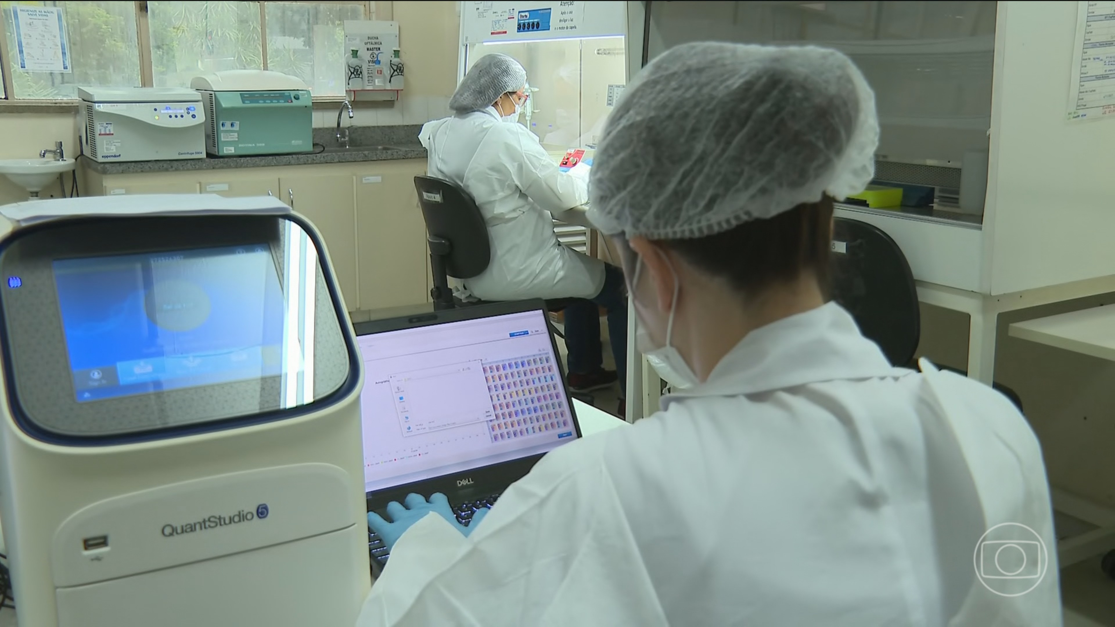 Teste molecular: SUS começa a oferecer novo exame para prevenir câncer de colo de útero