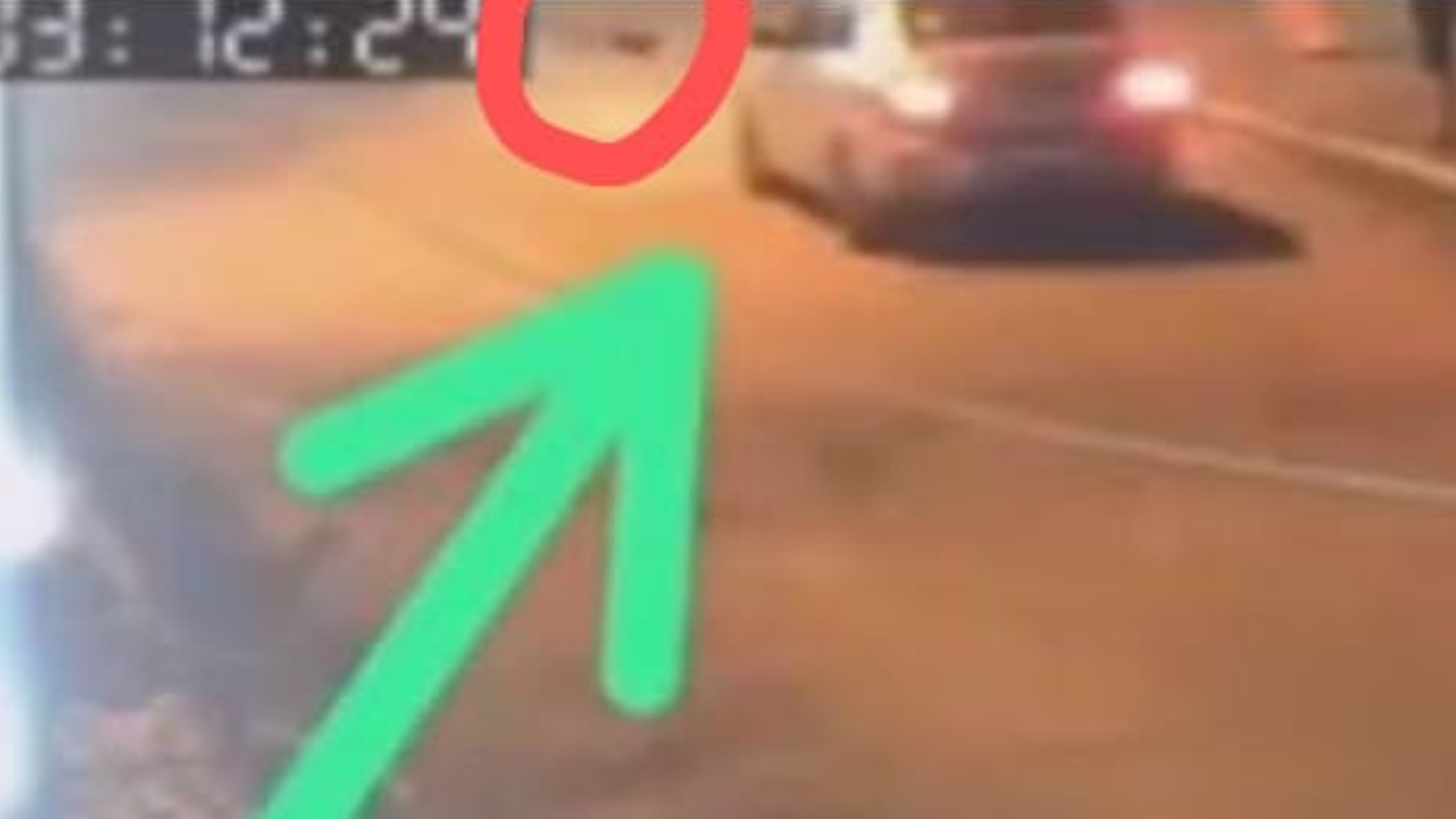 Homem é preso suspeito de atropelar e matar o cachorro da ex-namorada em Imperatriz