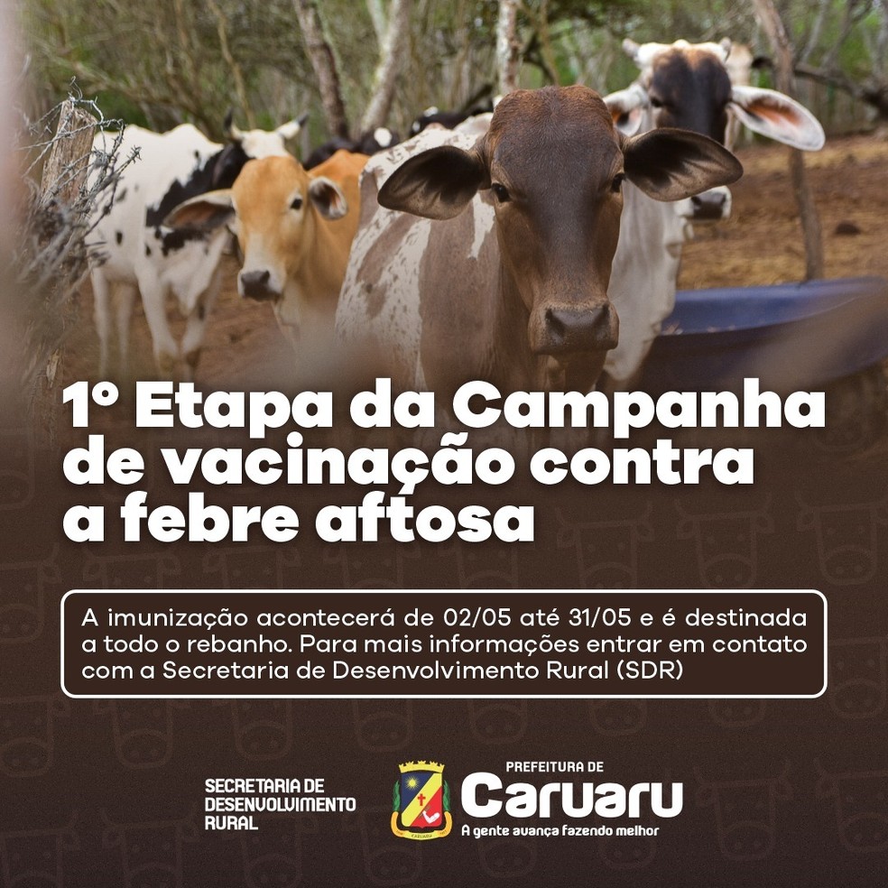 CARUARU - Campanha de Vacinação da AMPPE 2022 - AMPPE