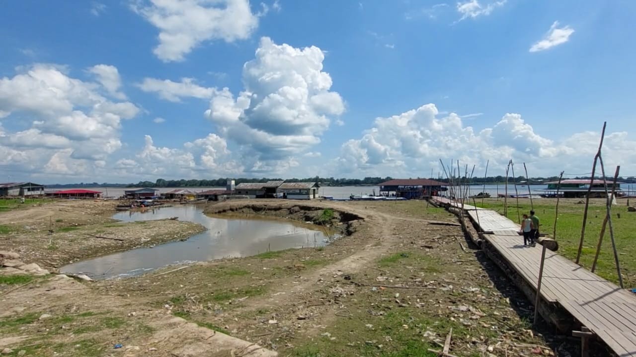 Amazonas decreta estado de emergência em 20 municípios por conta da seca dos rios
