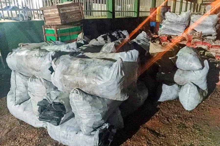 Batalhão Ambiental apreendeu 8 toneladas de carvão ilegal em 5 meses no Amapá