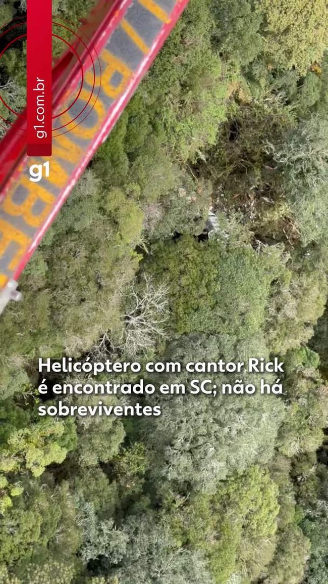 Helic&oacute;ptero com cantor Rick, dois passageiros e piloto &eacute; encontrado; ningu&eacute;m sobreviveu