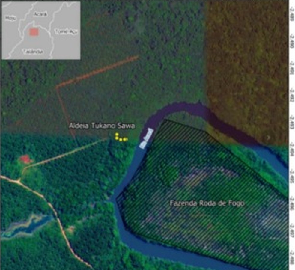 Justiça Federal proíbe Agropalma de expulsar povo Turiwara de área em disputa em Tailândia. — Foto: Divulgação