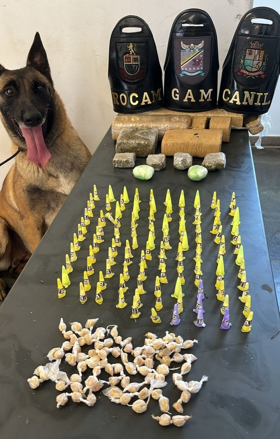 Drogas foram encontradas por cão da GCM de Itapetininga — Foto: Prefeitura de Itapetininga/Divulgação