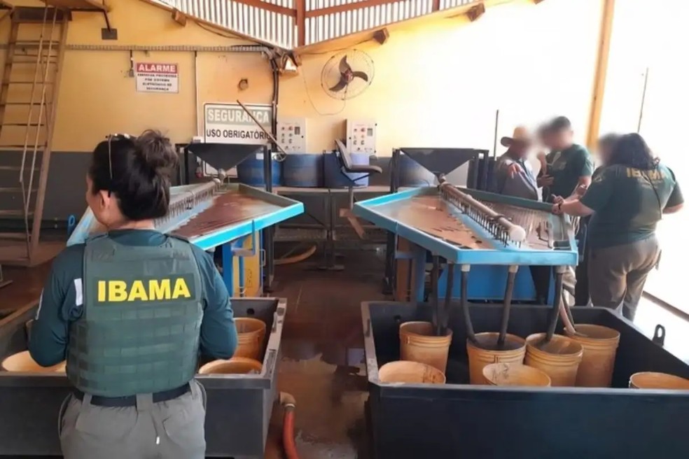 Operação Almadén, deflagrada em junho de 2025 pelo Ibama — Foto: Ibama