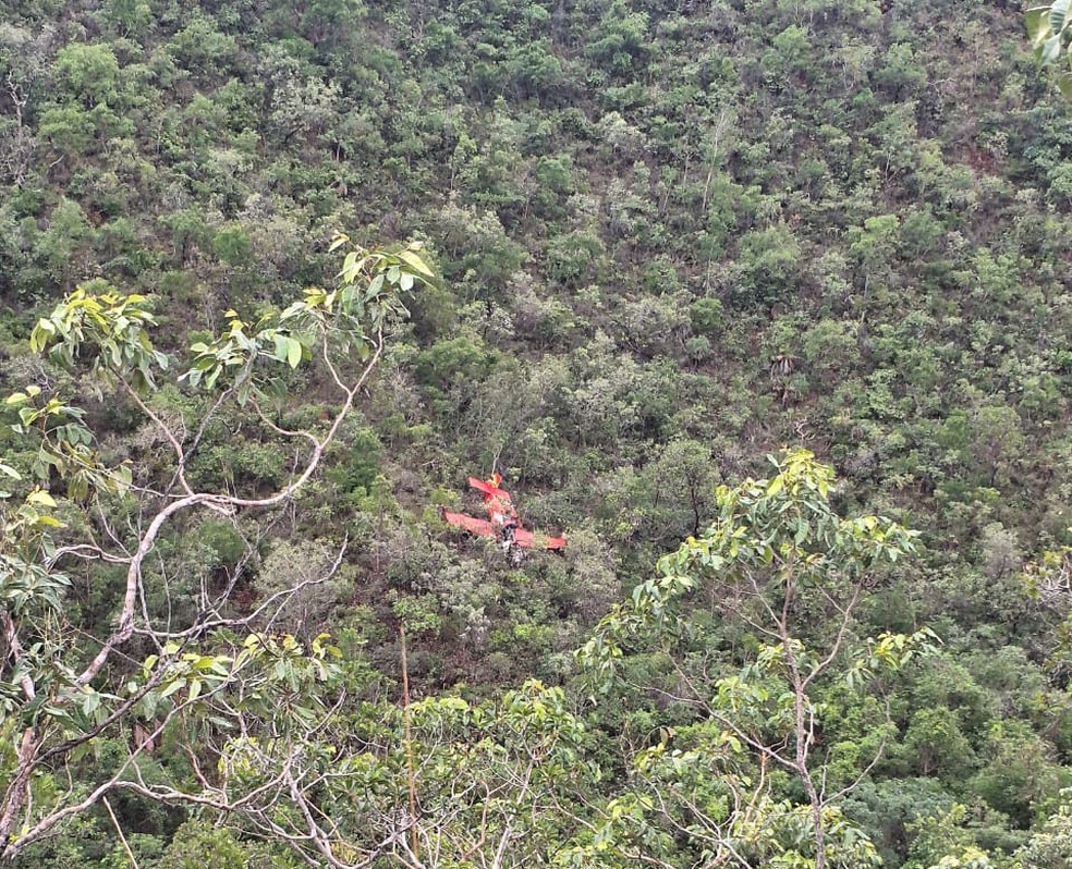 Piloto morre em queda de avião agrícola em Loreto, no Sul do MA — Foto: Divulgação/ Redes Sociais
