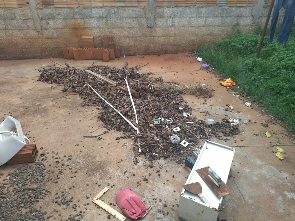 Homem é multado em R$ 6 mil por maus-tratos contra cachorros, em Teodoro Sampaio (SP) — Foto: Polícia Ambiental