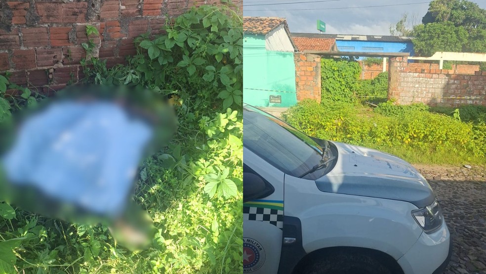 Jovem de 26 anos é encontrada morta sem roupa íntima em terreno baldio no litoral do PI — Foto: Reprodução/PM-PI