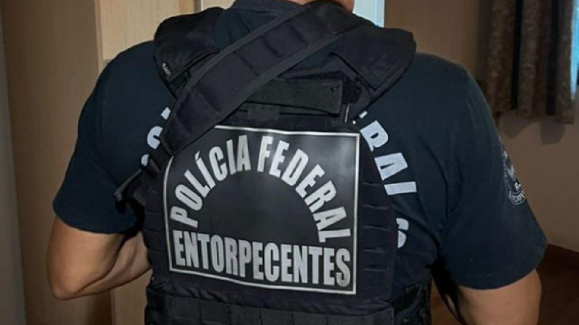 Cocaína era vendida como café e enviada em contêiner para a Europa, descobre PF