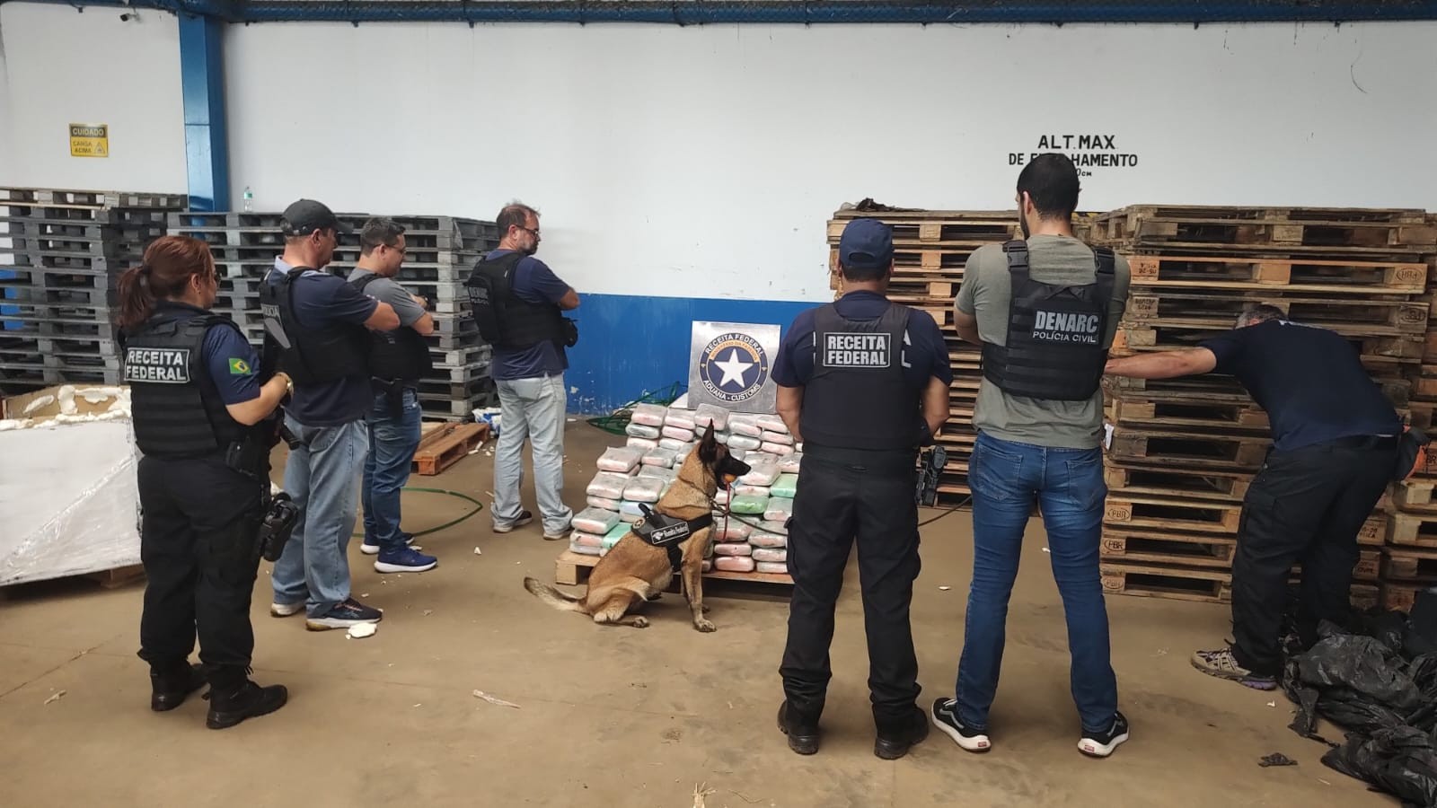 Receita Federal e Polícia Civil encontram quase 200 kgs de 'supermaconha' em transportadora de Belém