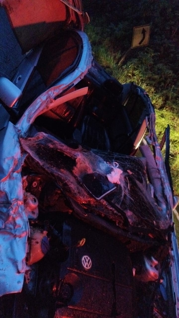 Carro bate em árvore caída na pista e motorista morre em Viçosa