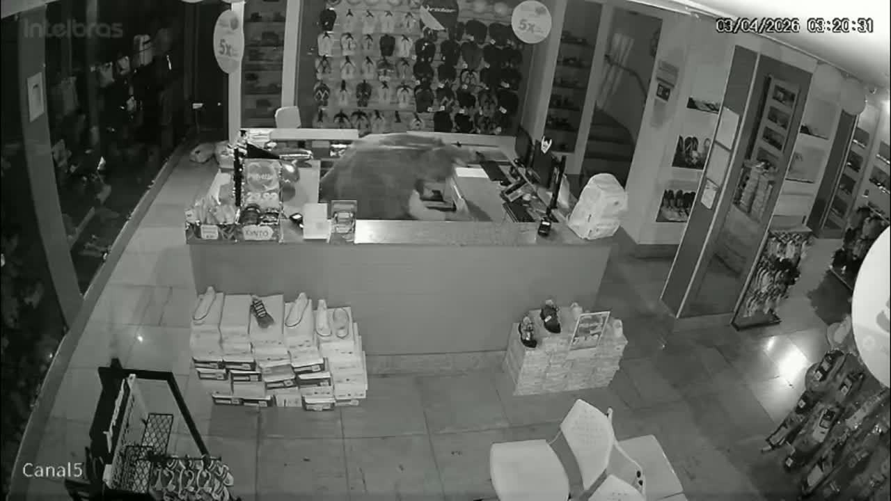 VÍDEOS: DF2 de segunda-feira, 6 de abril de 2026