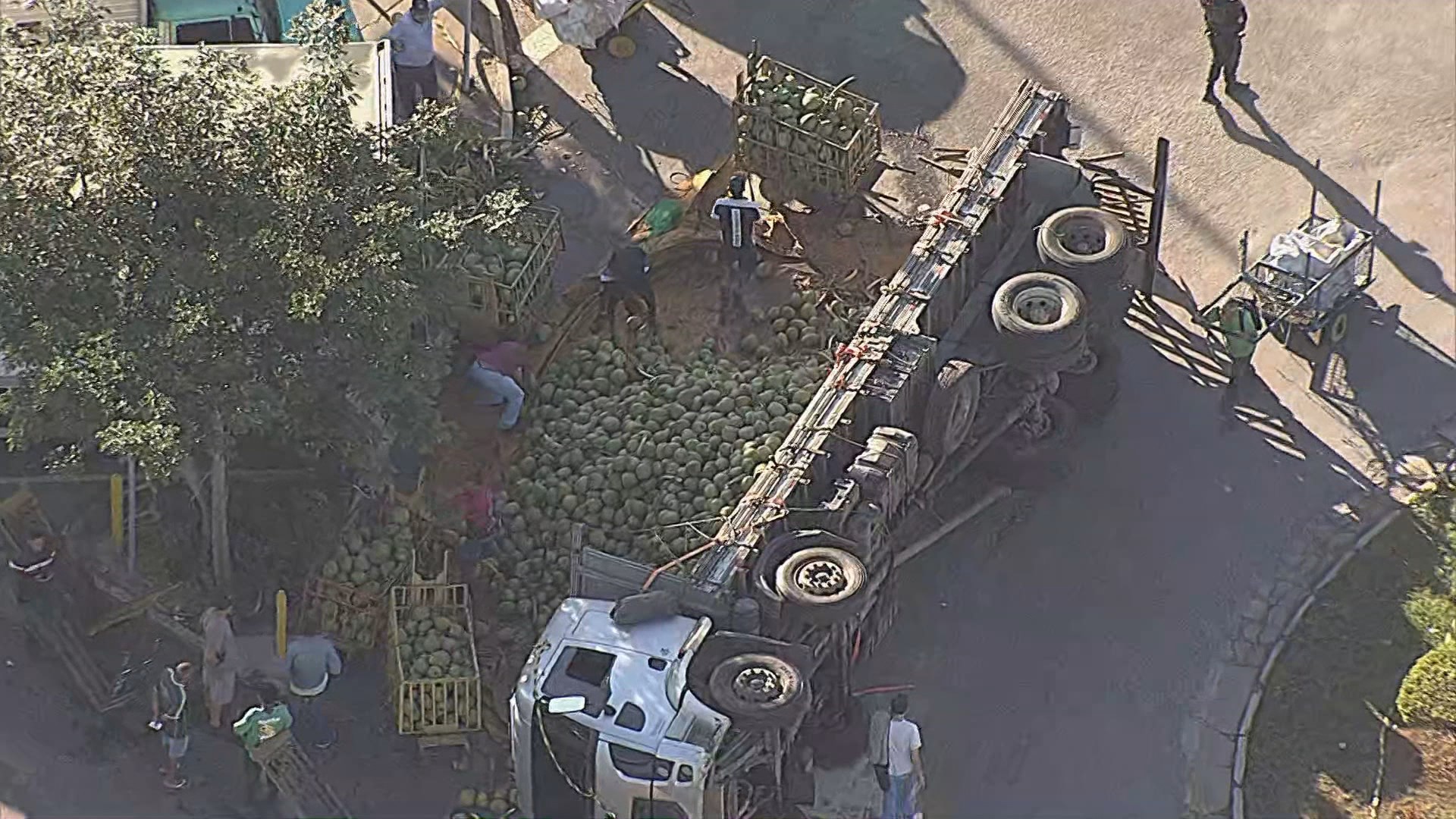 Caminhão tomba e espalha carga de coco dentro da Ceasa, na Grande BH