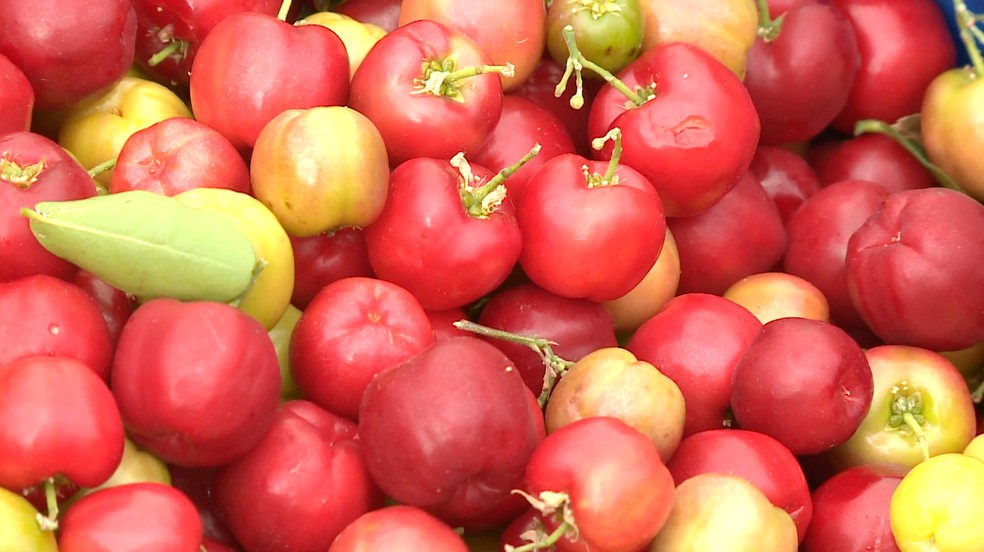 A acerola  uma joia tropical, empregada na medicina popular h geraes.  Foto: Reproduo/TV Grande Rio