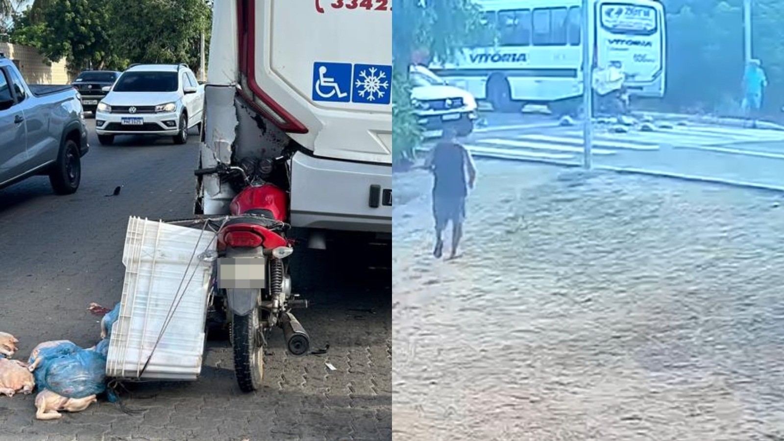 Vídeo: motociclista que transportava frangos bate em traseira de ônibus na Grande Fortaleza