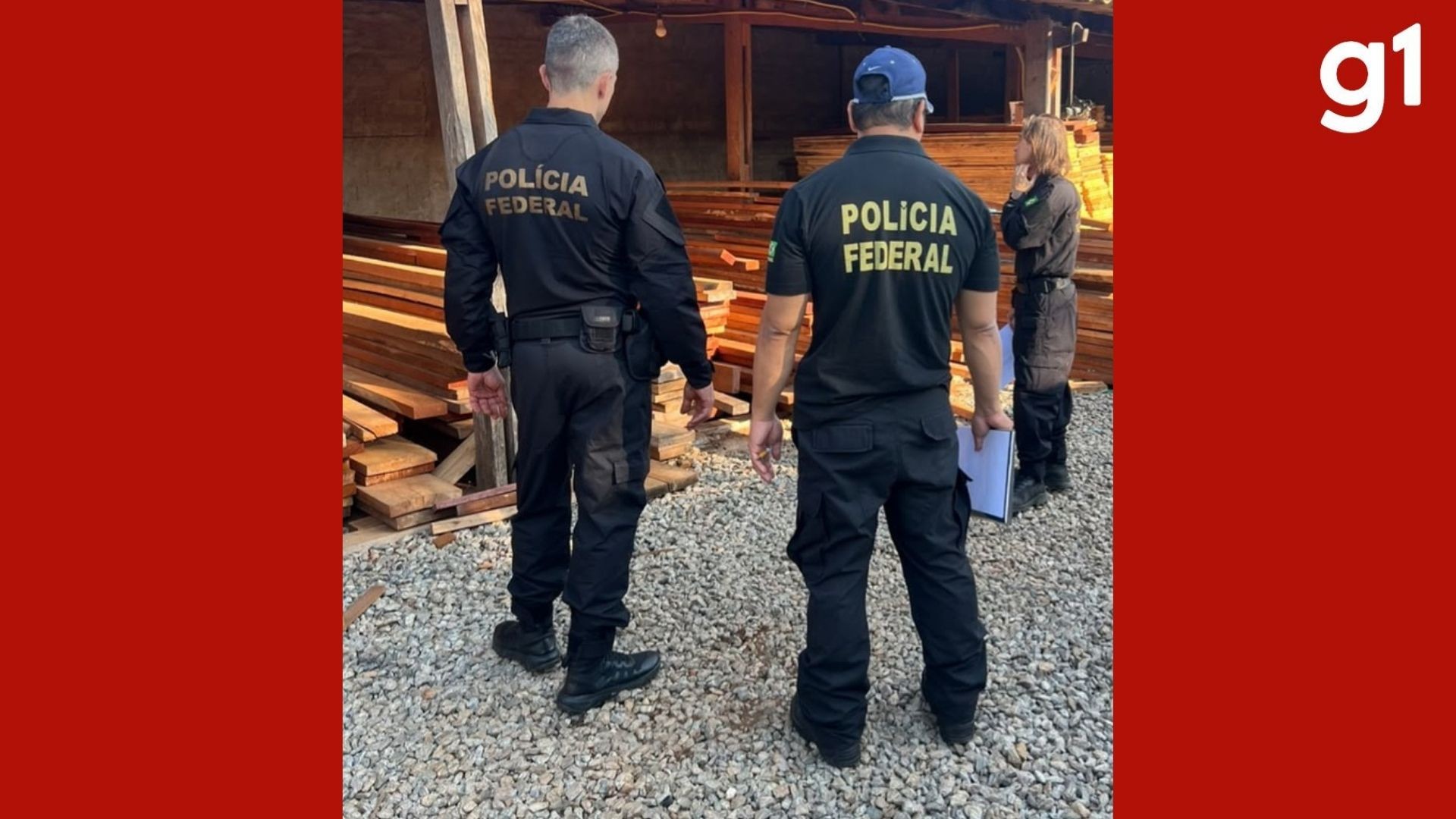Comércio ilegal de madeira em MT, GO e MG é alvo de operação da Polícia Federal