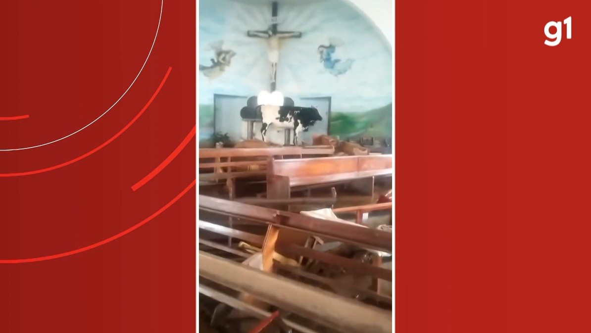 Temporais no RS: boi é encontrado dentro de igreja após cheia de rio em Taquari; VÍDEO