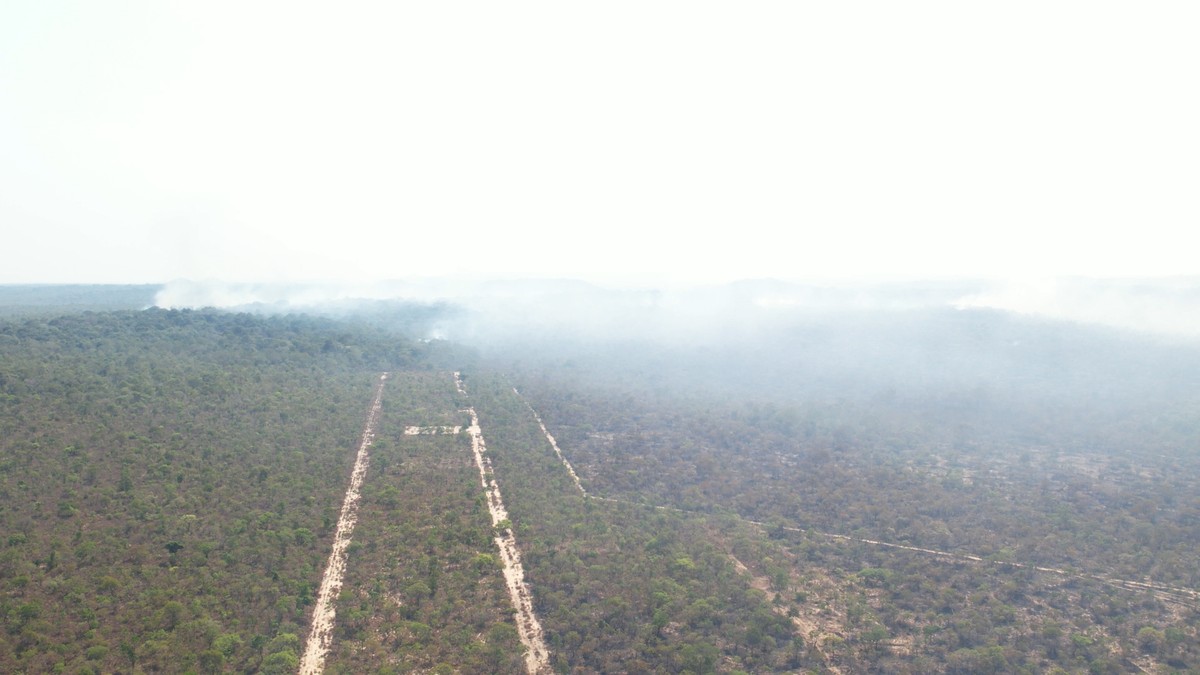 Chuva apaga incêndio na Apa Alter do Chão; imagens de satélite mostram  evolução das chamas, Santarém e Região