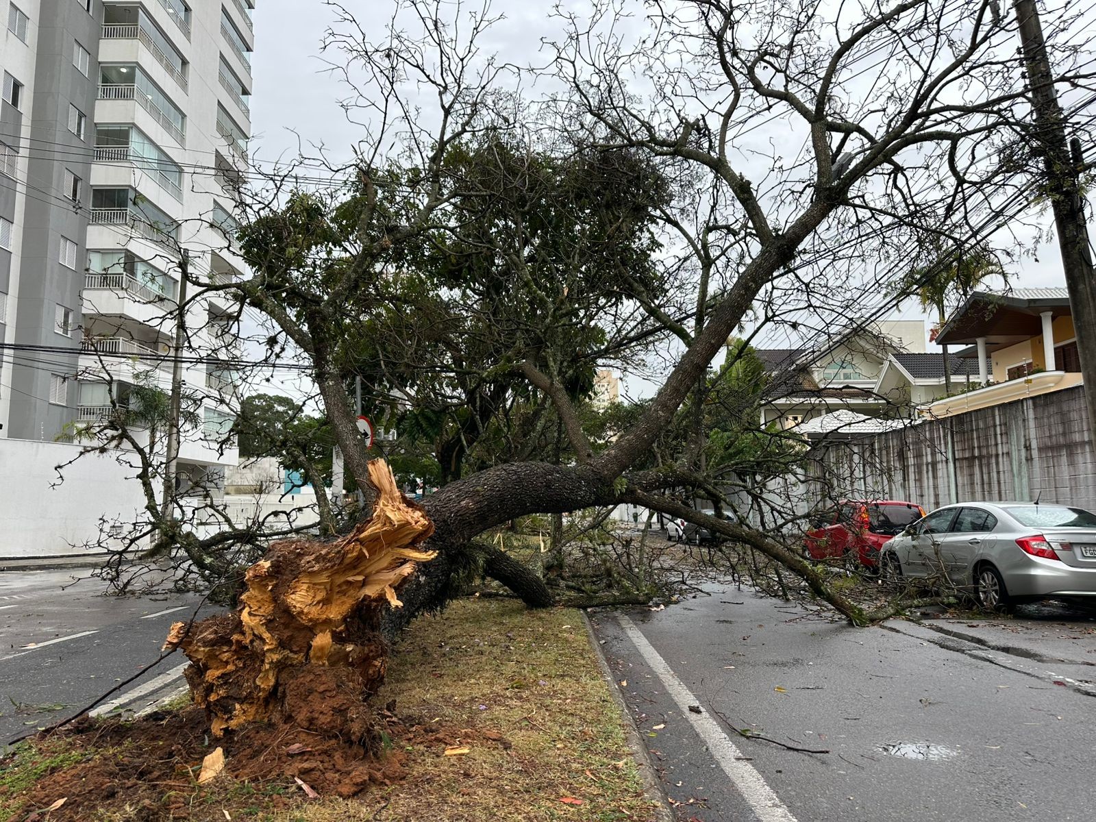 São José dos Campos registra ventos de até 109 km/h, quedas de árvores e explosão de poste; veja VÍDEOS