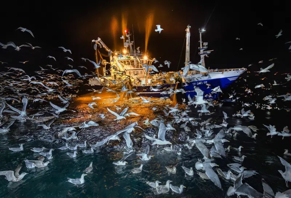 Local: fiorde Kvænang, Skjervøy, Noruega — Foto: Audun Rickardsen