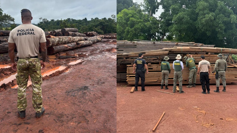 PF deflagra operação contra desmatamento na Terra Indígena em RO — Foto: Reprodução/Polícia Federal (PF)