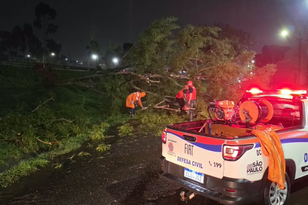 Chuva deixou estragos em Martinópolis e em Presidente Prudente — Foto: Defesa Civil