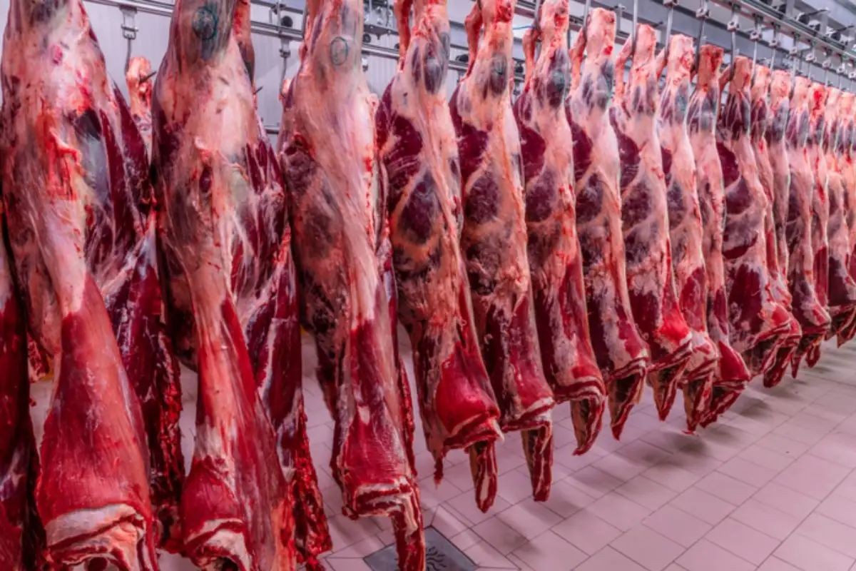 Vietnã autoriza frigorífico de MS e amplia importação de carne bovina brasileira