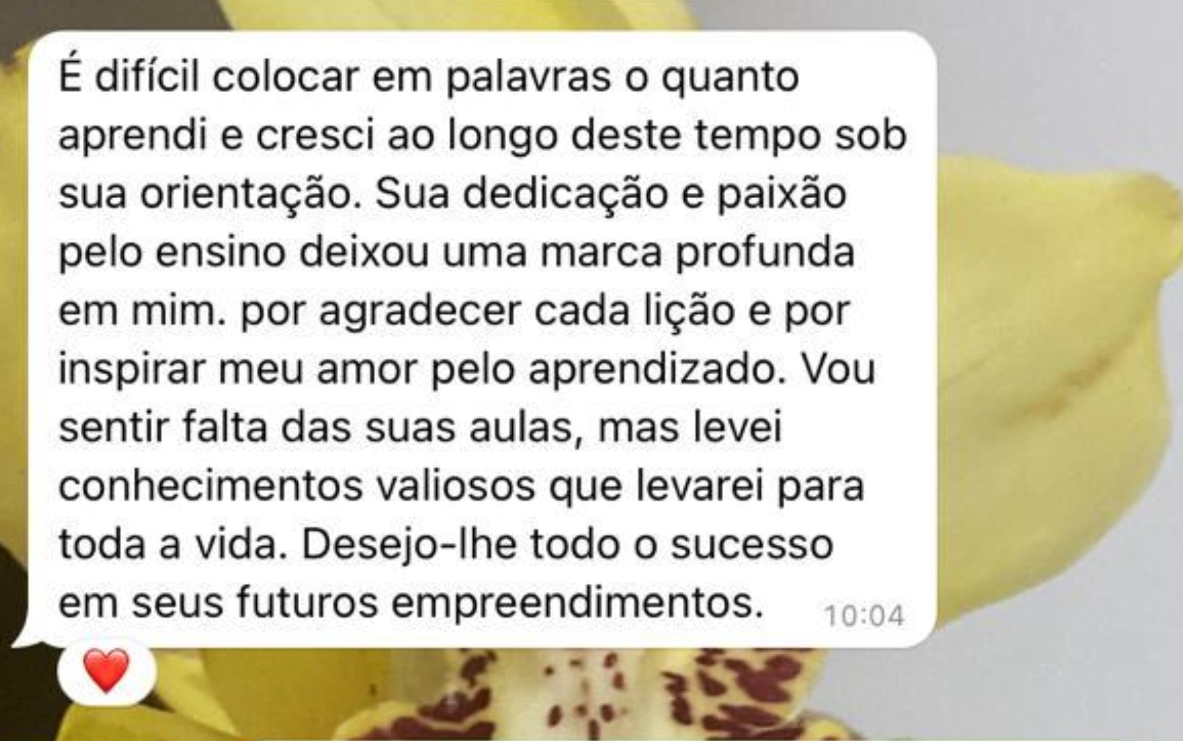 Veja o que se sabe sobre o caso da professora demitida após ter fotos nuas  vazadas | Goiás | G1