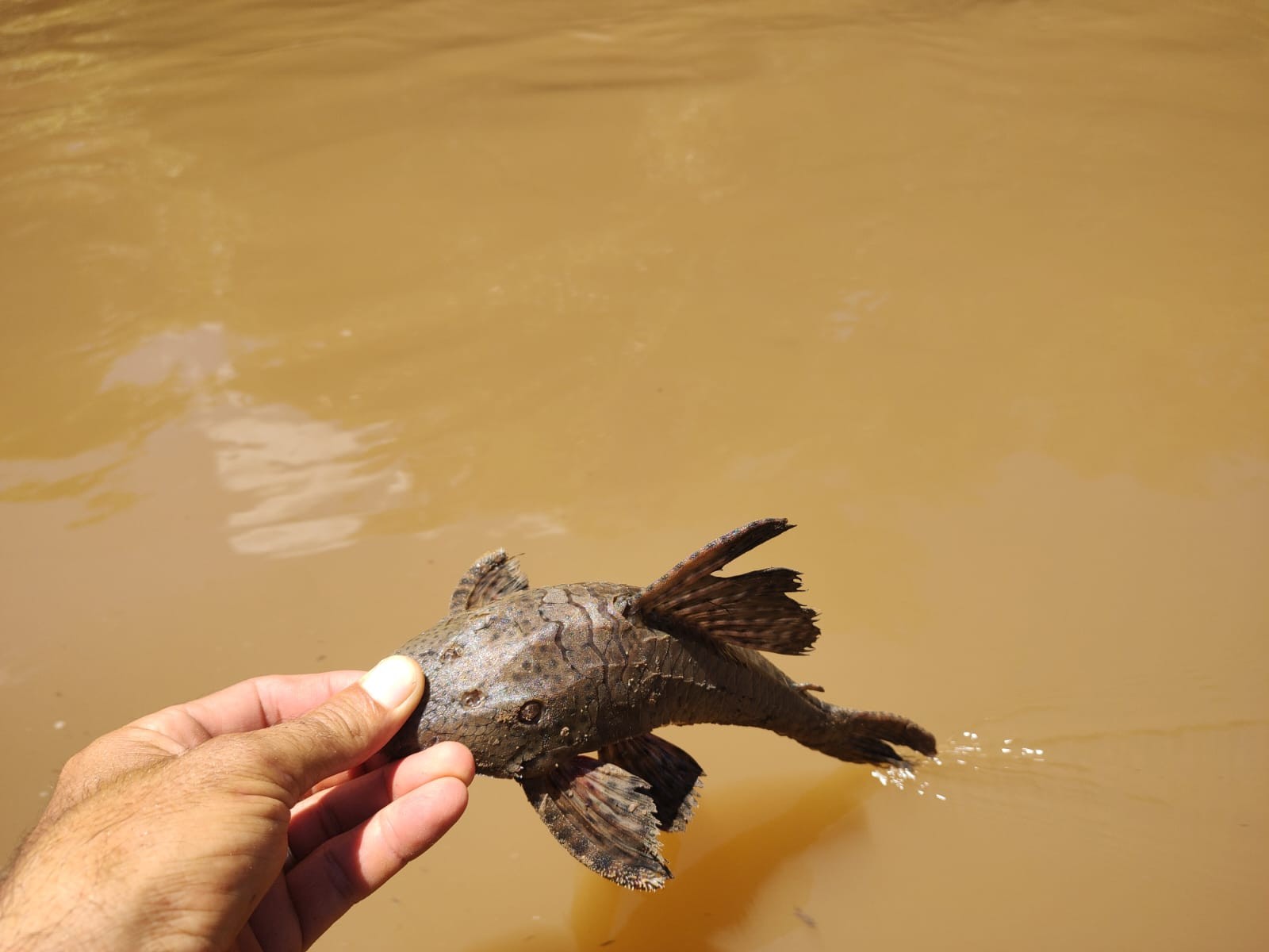 Fiscalização apreende redes de pesca, malhas e anzóis de galho armados irregularmente no Rio Aguapeí, em Lucélia