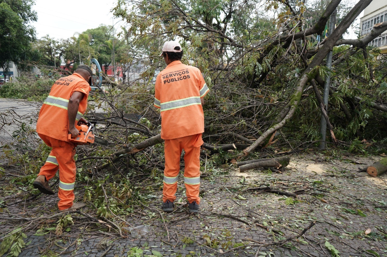 VÍDEO: Chuva causa alagamentos e derruba árvores em Volta Redonda
