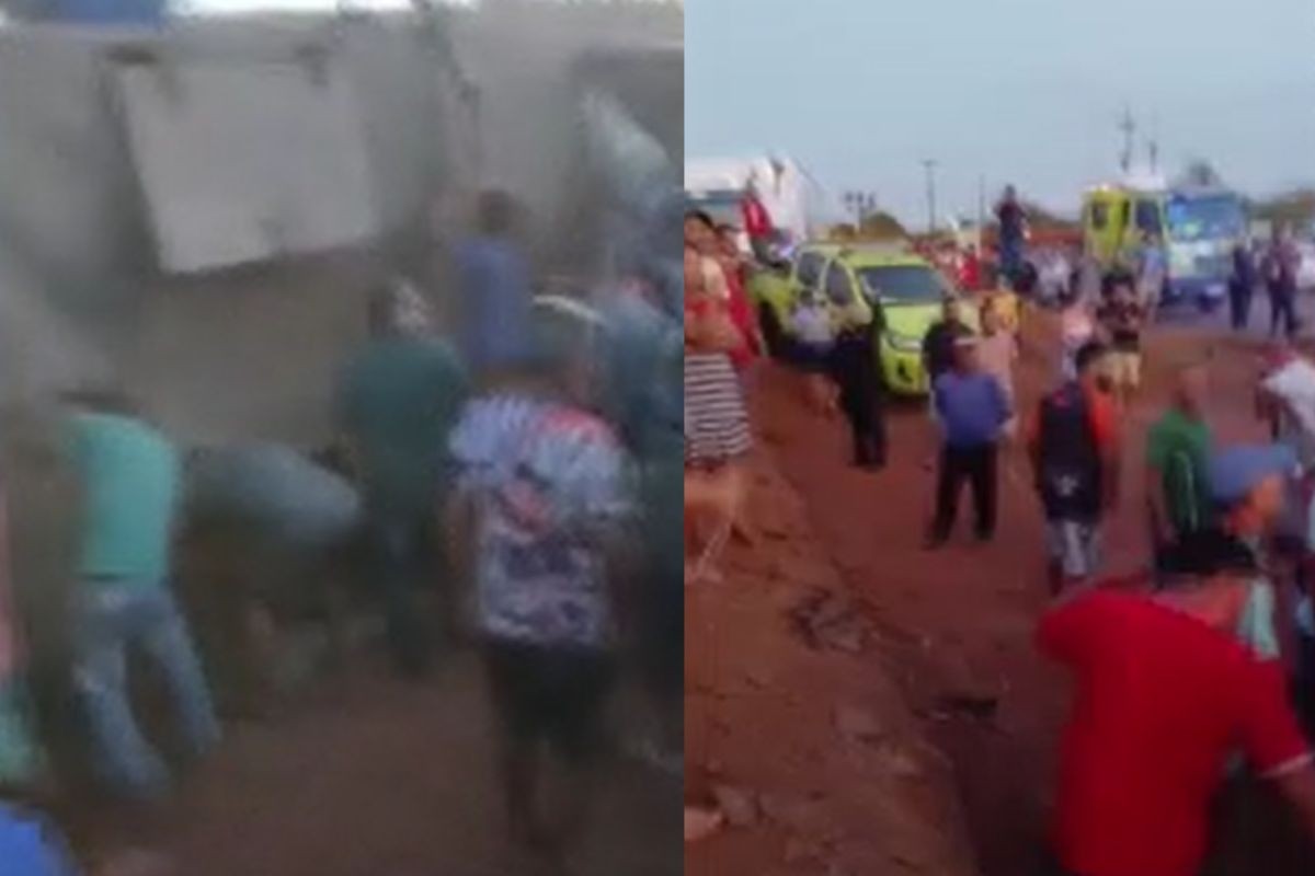 Vídeo: carreta carregada com porcos é saqueada após tombar na BR-070 em MT