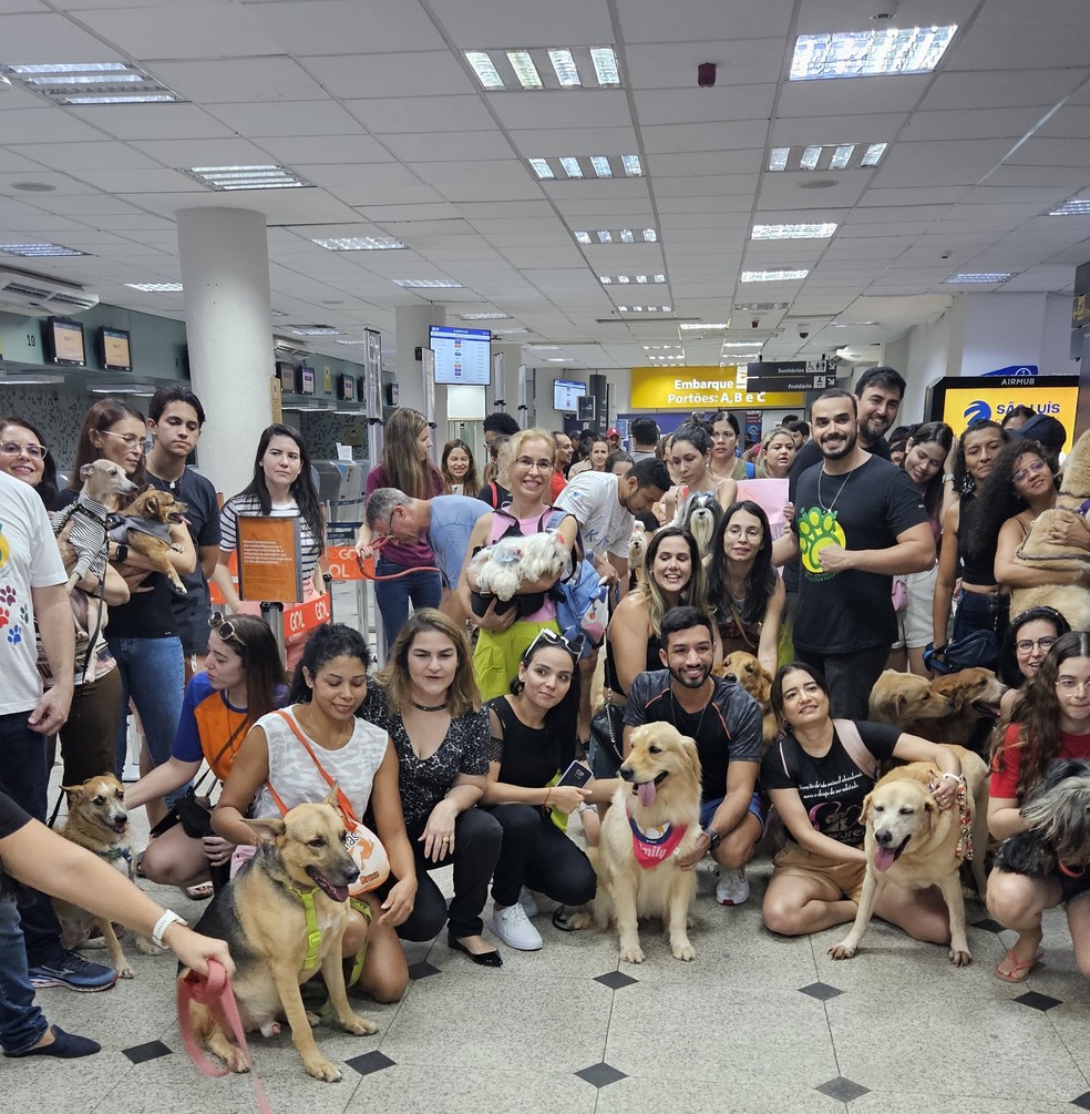 Manifestantes protestam em memória de golden retriever Joca no aeroporto de Teresina — Foto: Reprodução