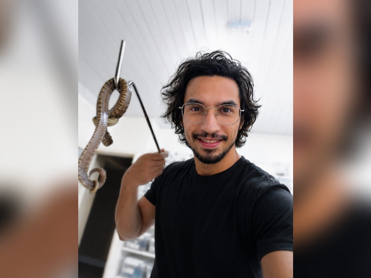 IgNobel 2026: estudo brasileiro é um dos premiados por encostar botas em jararacas e testar quando elas têm mais chance de picar