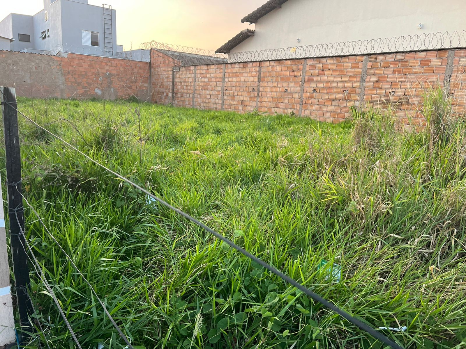 Entenda como será a nova cobrança de taxa de iluminação para terrenos vagos em Uberlândia