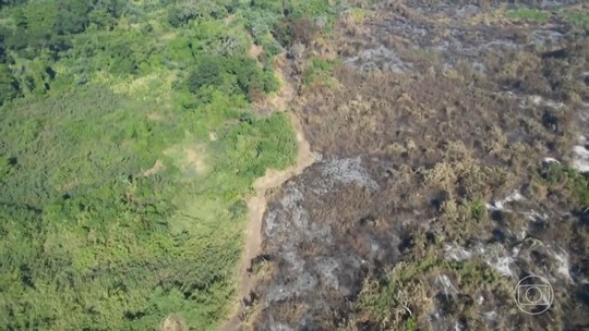 Pantanal registra o segundo maior número de focos de incêndio em 15 anos - Programa: Jornal Nacional 