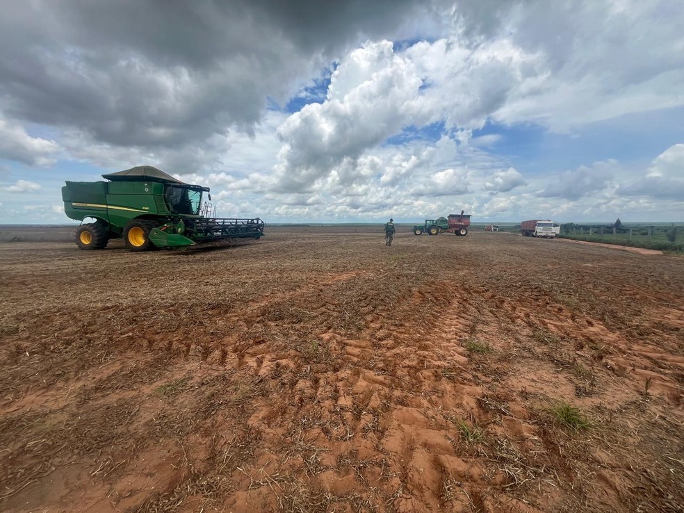 Ao todo, 27 máquinas agrícolas e mais de 72 mil quilos de soja foram apreendidos durante a operação — Foto: Ibama