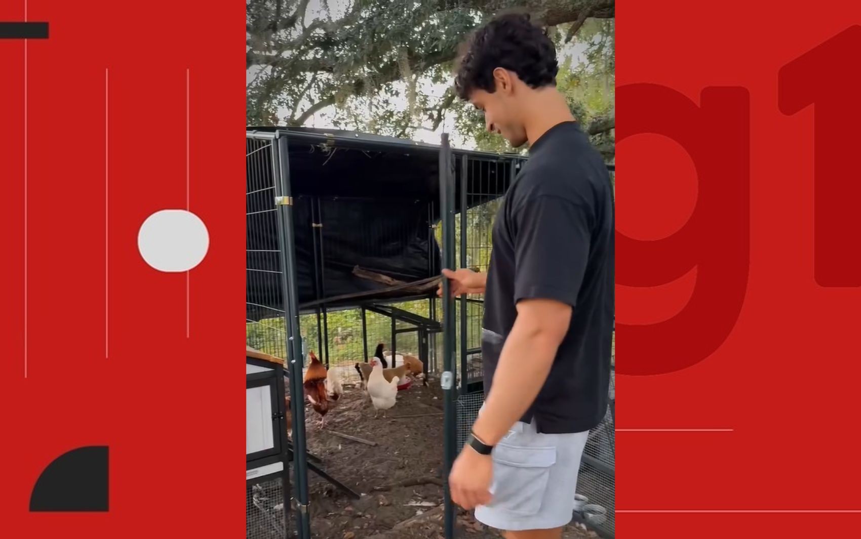 Filho de Carla Perez e Xanddy revela criação de galinhas no quintal de casa nos EUA: 'Minha mini roça'