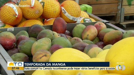 Nutricionista explica os benefícios das frutas do Cerrado para a saúde