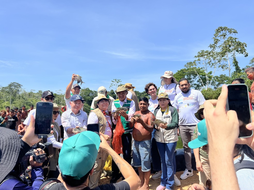 Autoridades seguram peixe criado em tanques da comunidade Sikamabiu, na Terra Yanomami — Foto: Caíque Rodrigues/g1 RR