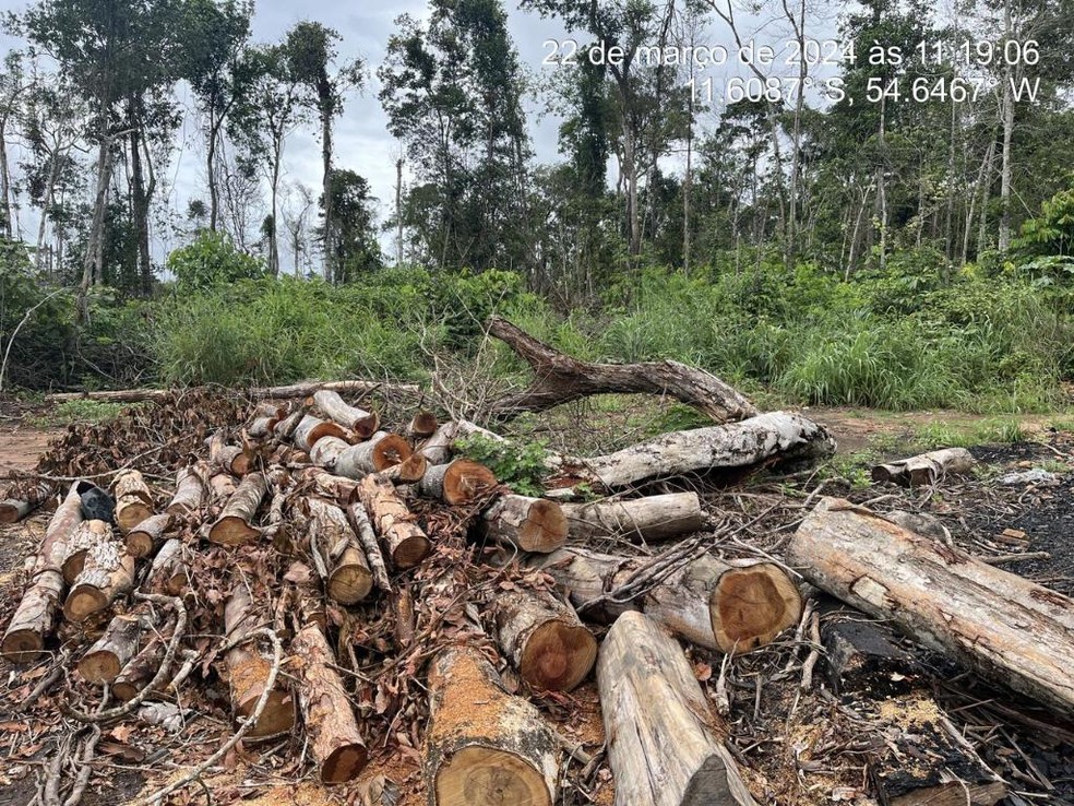 Suspeitos também foram presos por crime ambiental — Foto: Polícia Militar