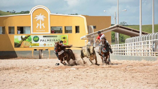 Bets mudam vaquejadas no Nordeste e transformam vaqueiros em influencers de jogos de azar - Os vaqueiros influencers aparecem quase sempre nos stories e nas vaquejadas exibindo a marca das bets que os patrocinam. Os vídeos que postam, geralmente, têm links personalizados que direcionam para os sites das casas de apostas.