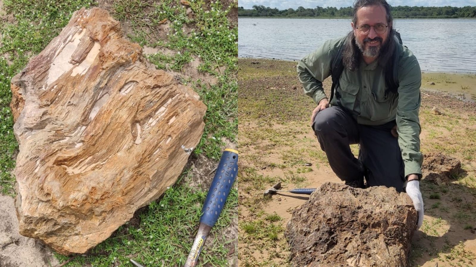 Troncos petrificados de 280 milhões de anos são identificados no interior do PI