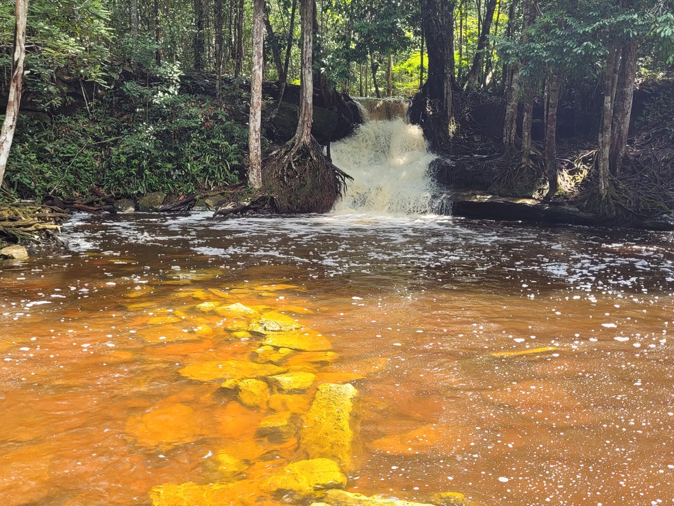 Acesso a queda d'água é feito através de uma trilha de 1,5 quilômetros — Foto: Lucas Macedo/g1 Amazonas