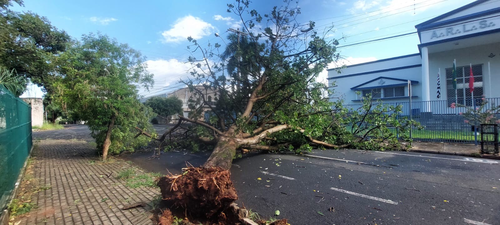 'Virada no tempo': forte temporal com ventania em Rio Preto causa queda de árvores e muros